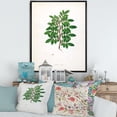thumbnail image 2 of Designart 'Ancient Plant Life XX' Farmhouse Framed Canvas Wall Art Print, 2 of 5