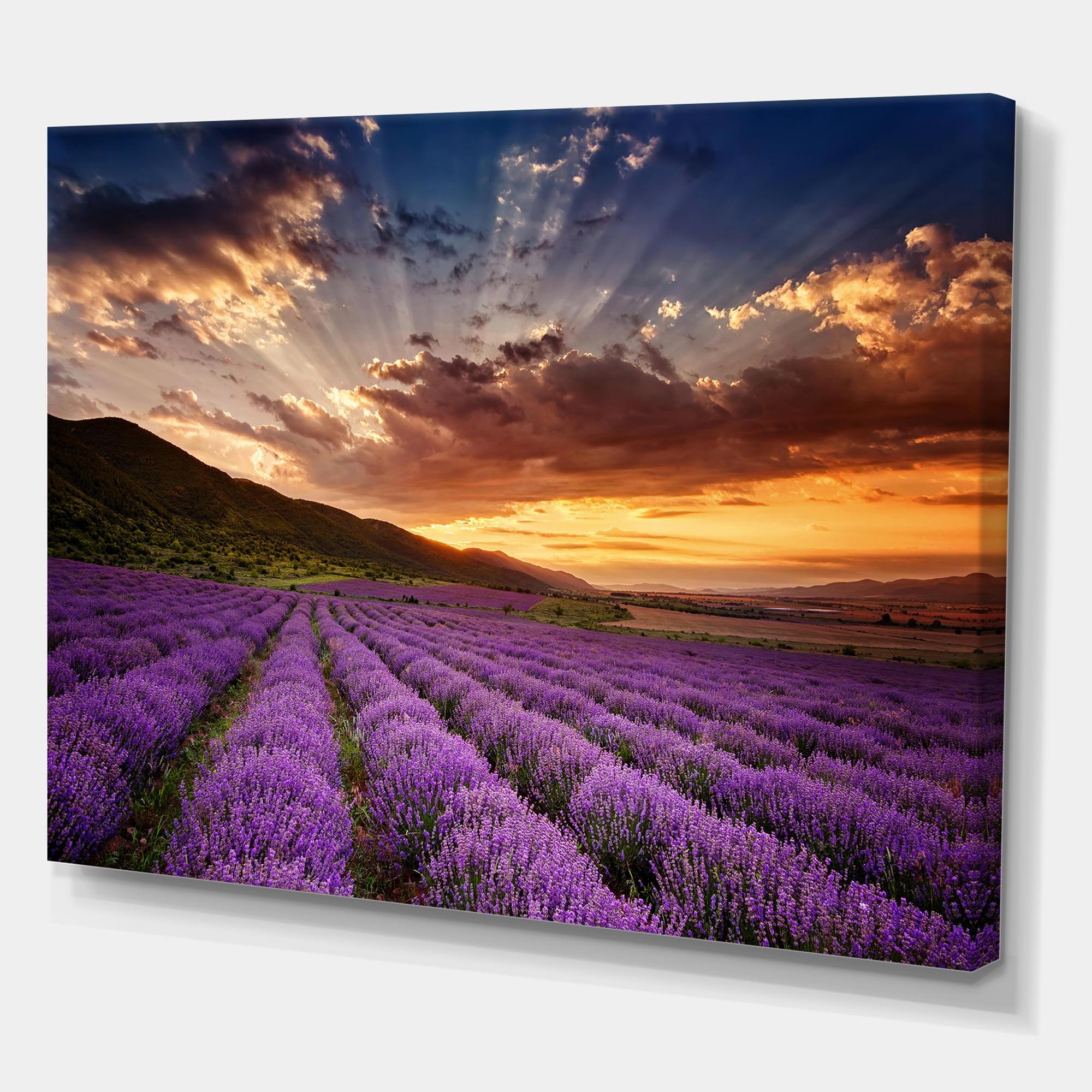 Designart ' Dramatic Clouds and Sunrise Over Lavender Field X ' Farmhouse Canvas Wall Art Print