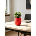 thumbnail image 2 of Mini Colorful Resin Planter Pots, Lightweight Compact Fleshy Plant Containers, Matte Textured Small Plant Vases for Desk Windowsill Indoor Garden Independence Day Greenery Layout Decor, 2 of 6