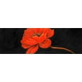 thumbnail image 2 of Atelier B Art Studio 32x13 Black Ornate Wood Framed with Double Matting Museum Art Print Titled - Red Petal Flower, 2 of 4