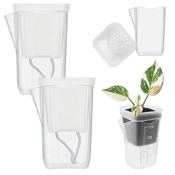 Mini Self Watering Pots with Water Level , Clear Plastic Planters for Indoor Varieties, Small Propagation Pots for Seedlings, Sowing Tray with Drainage Holes