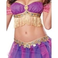 thumbnail image 4 of Belly Dancer Adult Costume, 4 of 4