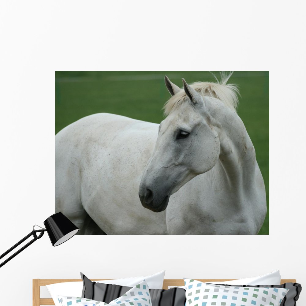 White Horse Wall Mural by Wallmonkeys Peel and Stick Graphic (48 in W x