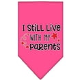 thumbnail image 3 of Pet and Dog Bandana Screen Printed, "I Still Live With My Parents", 3 of 9