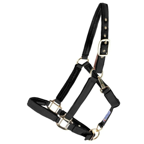 Dura-Tech Deluxe Fully Padded Breakaway Horse Halter | Over Size | Black