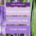 thumbnail image 5 of Glade PlugIns Refill 5 Count, Tranquil Lavender & Aloe, 3.35 FL. oz. Total, Scented Oil Air Freshener Infused with Essential Oils, 5 of 17