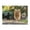 500 Pieces, variant on 500-Piece Wooden Jigsaw Puzzle for Adults - Dog Bubbles Joyful Park , Fun & Challenging Brain Teaser, Stylish Home Decor & Unique Gift
