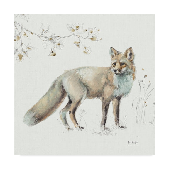 Trademark Fine Art 'Woodland Walk XI Fox' Canvas Art by Lisa Audit