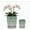 Green ,White, variant on MDJ Pottery Set of 2 Ceramic Orchid Pots, 7.48 + 5.51 inch Plant Pots with Drainage Holes and Saucer for Repotting, Hollow-Out Planter for Plant Indoor and Outdoor (Green White)