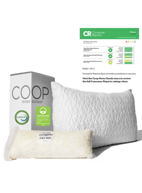 Coop Home Goods Bed Pillows in Bedding