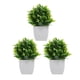 thumbnail image 1 of Bonsái artificial de 3 piezas, plantas falsas para decoración de interiores, pequeñas plantas artificiales para escritorio, adorno verde realista, decoración artificial, 1 of 7