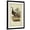 Black Frame, variant on Art.com Wild Turkey Art Print by Charles L^ Bonapart, 24" x 36"