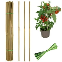 20 Pcs Bamboo Plant Stakes,Bexikou 17.7 Natural Bamboo Garden Stakes,Bamboo Garden Sticks,Plant Support Stakes for Tomato,Beans,Vegetable and Climbing Plants