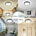 Depuley Industrial Ceiling Light with Remote Control, Black Flush Mount