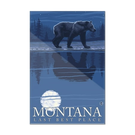 Montana, Last Best Place - Bear in Moonlight - Lantern Press Artwork (8x12 Acrylic Wall Art Gallery (Best Place For Acapellas)