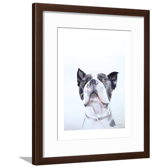 Bird Watching, Animals Framed Art Print Wall Art by Aimee Del Valle Sold by Art.Com
