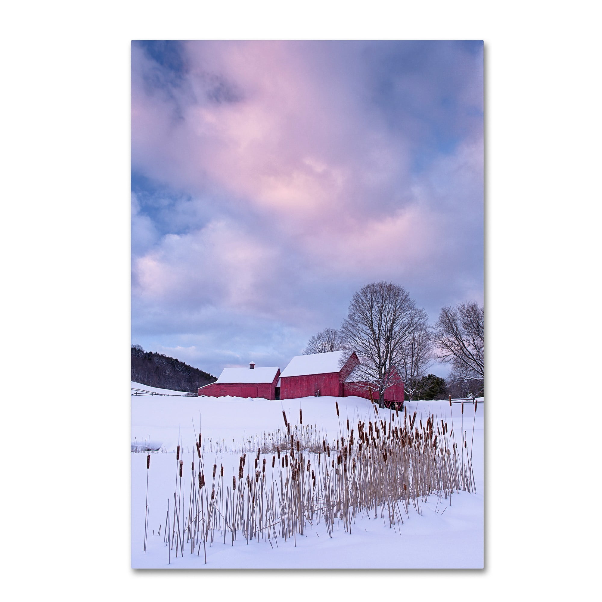 Trademark Fine Art "Cat O'Nine In Snow" Canvas Art by Michael Blanchette Photography