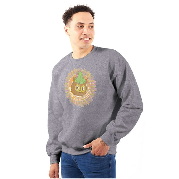 Woodsy Owl Bring The Sunshine Sweatshirt for Men or Women Brisco Brands S