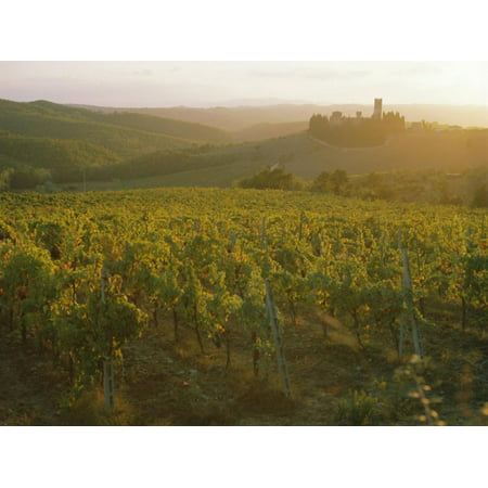 Vineyards and Ancient Monastery, Badia a Passignano, Greve, Chianti Classico, Tuscany, Italy Print Wall Art By Michael (Best Chianti Classico Producers)