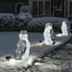 thumbnail image 1 of 3pc Light-up Penguin Christmas Decorationpvc Penguin Christmas Decorations With Led Mini Lights, 1 of 2