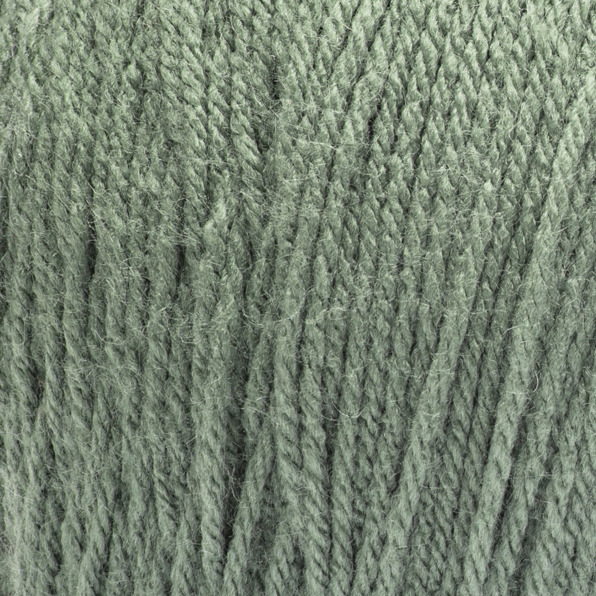 Red Heart® Super Saver Jumbo™ #4 Worsted Acrylic Yarn, Light sage 14oz/396g 744 Yards (2 Pack)
