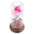 thumbnail image 4 of Rosa del Principito, Flor de Rosa eterna preservada con Cadena LED en cúpula de Vidrio.Buen Regalo para Novia, día de San Valentín, día de Las Madres (Rojo)(Rosado) Ecomeon no, 4 of 6