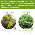 thumbnail image 4 of 50ml Plant Growth Enhancer Supplement Plant Growth Enhancer, 4 of 5