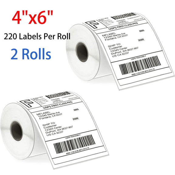2 Rolls 4 "x 6" Direct Thermal Shipping Labels, Compatible with DYMO 4XL Printer 1744907, 220 Labels/Roll