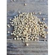 Roasted Soybeans, Non-GMO, 46lbs