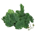 thumbnail image 4 of 2PCS Artificial Water Plant Simulation Vine Lifelike Plastic Leaves Decoration with Suction Cup for Fish TankMonstera Leaves, 4 of 4