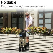 WalkMate 2 in 1 Rollator Transport Chair, 10'' Wheels Medical Rollator for Seniors with Paded Seat Backrest, Adjustable Handle and Detachable Footrests, Gold