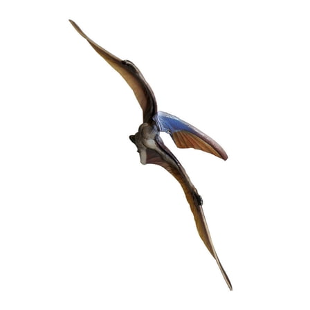 Soimiss Dinosaurs Model Toys Pterosaur Model Realistic Coffee 1Set for Birthday Party