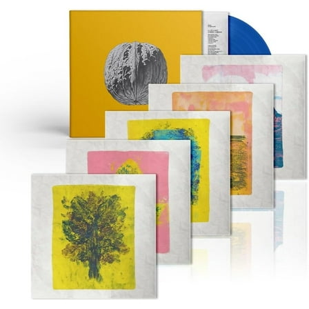 Brunori Sas - L'Albero Delle Noci - Deluxe Colored Vinyl - Music & Performance