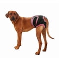 thumbnail image 5 of Washable Female Dog Diapers, Reusable Doggie Diaper Wraps For Female Dogs, Super-absorbent And Comfortable Niuniu, 5 of 5