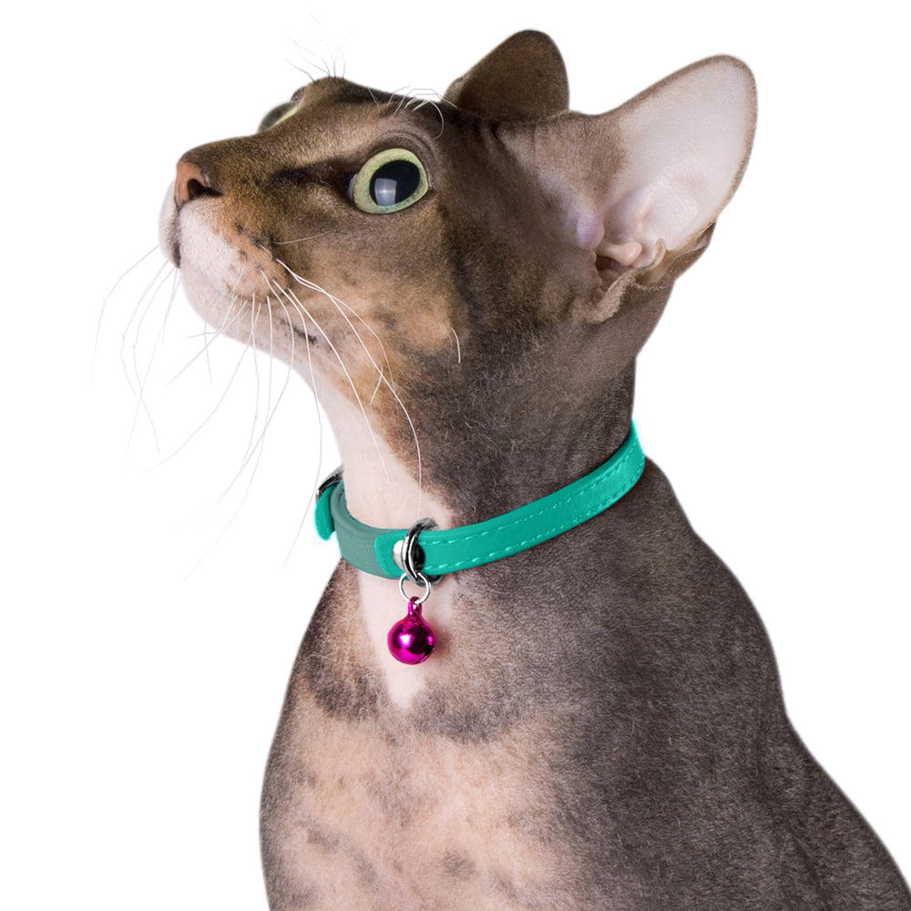 Extra small cat collars 2025
