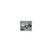 thumbnail image 4 of 1979 P Susan B Anthony Dollar, 4 of 4