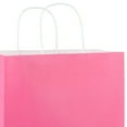 thumbnail image 5 of Hallmark Large Gift Bag (Solid Hot Pink), 5 of 7