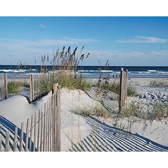 Heritage Puzzle Inc. Wild Dunes Jigsaw Puzzle (1000-Piece)