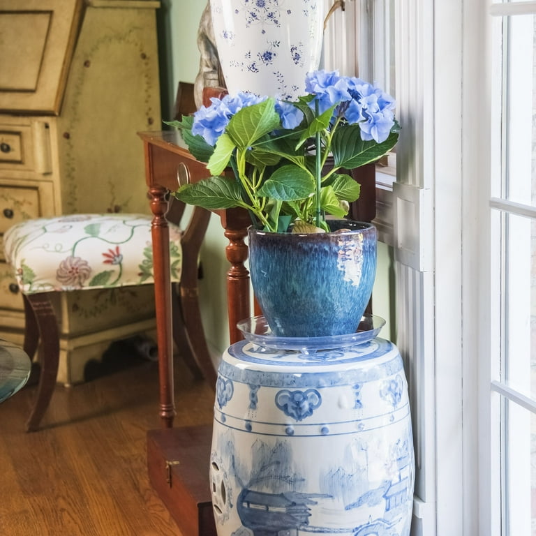 Mainstays 10 Inch Round Clear Vinyl Plant Saucer for Indoor