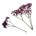 thumbnail image 5 of 1Bag Dyed Natural Real Pressed Dried Flowers/Pressed Leaves For Resin Jewelry Pendant Case arts and crafts DIY Bookmarks decor -, 5 of 7