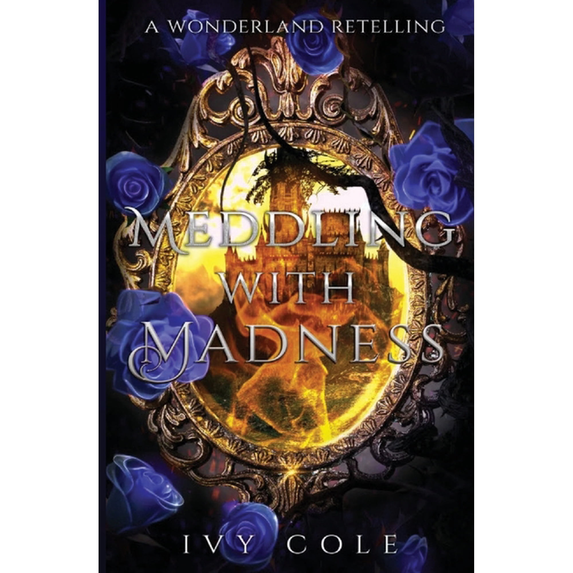 Meddling with Madness (Paperback)