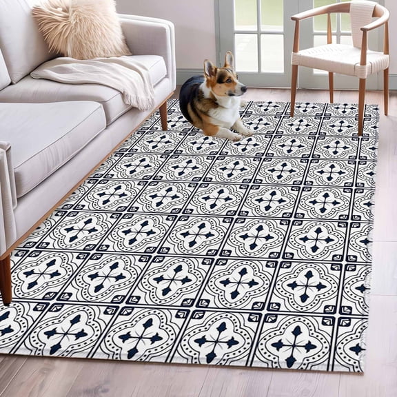 3'x5' Area Rugs, Black White Geometric Indoor Outdoor Area Rug for Living Room Bedroom, Modern Abstract Art Aesthetics Washable Bathroom Rugs Kitchen Floor Carpet Mats Home Decor Aesthetic