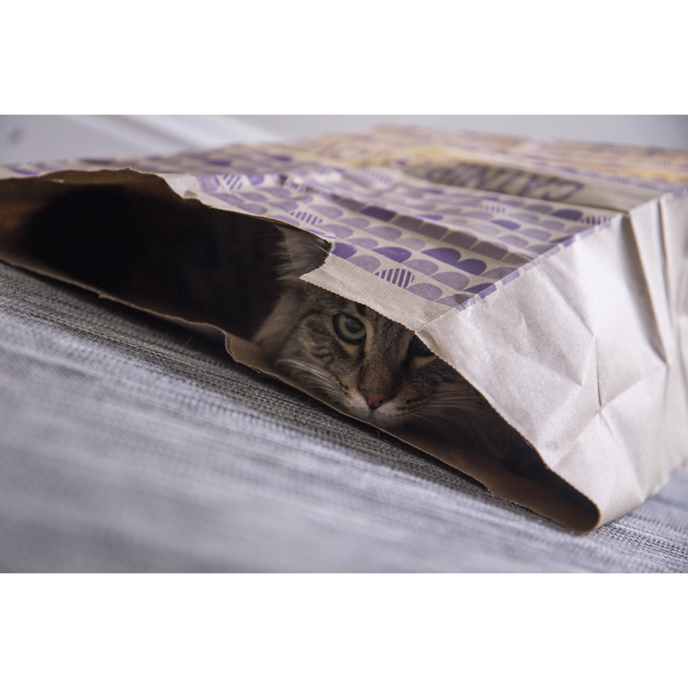 Catnip caves discount