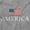 Sport Grey, variant on American Pride Patriotic July 4th Zip Up Hoodie Men's Women's Brisco Brands M