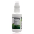 thumbnail image 3 of Clorofila Líquida 500 Ml Sabor Menta Natural Health Natural Health NHCLOROFILA, 3 of 5