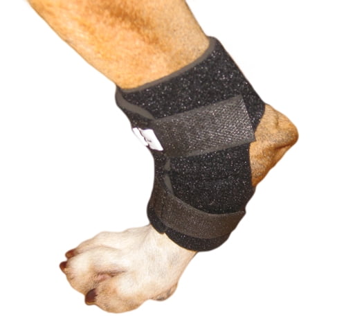 hock wraps for dogs