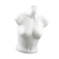 thumbnail image 3 of Soporte De Exhibición De Ropa Interior Con Torso De Maniquí Femenino Para Transmisión En Mostrador, 3 of 8