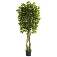 thumbnail image 1 of Nearly Natural 5.5Ft. Ficus Tree Uv Resistant (Indoor/Outdoor), 1 of 1