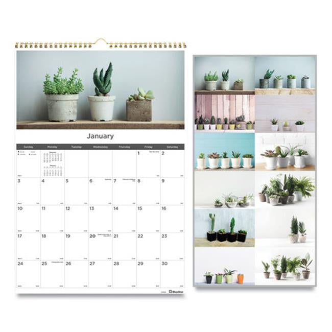 Rediform Office Products C173121 2021 Succulent Calendar