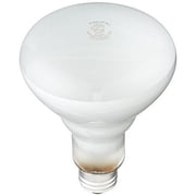 Philips 248872 Soft White 65-Watt BR30 Indoor Flood Light Bulb, 12-Pack